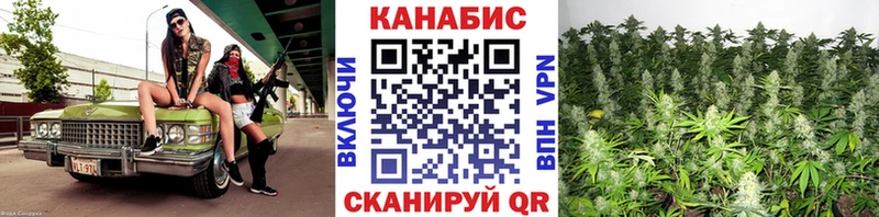 Конопля план  дарнет шоп  Нововоронеж 